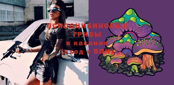 метамфетамин Ельня