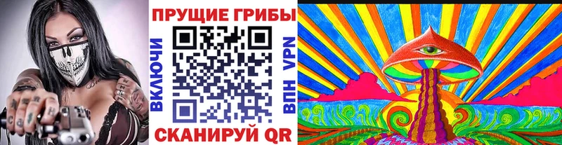 Купить где  Октябрьск  Псилоцибиновые грибы Psilocybine cubensis 